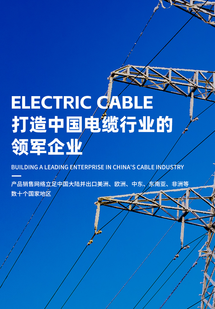 BG大游·(集团)视讯官方网站