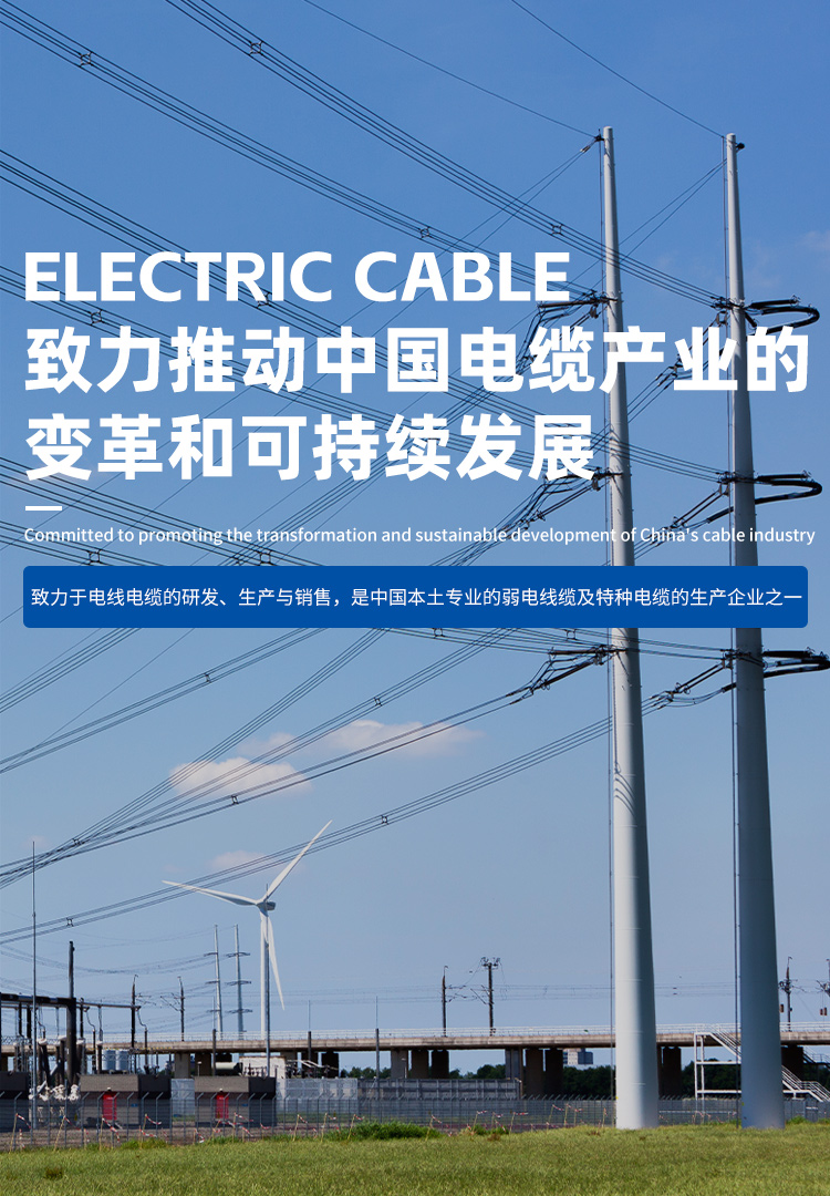 BG大游·(集团)视讯官方网站