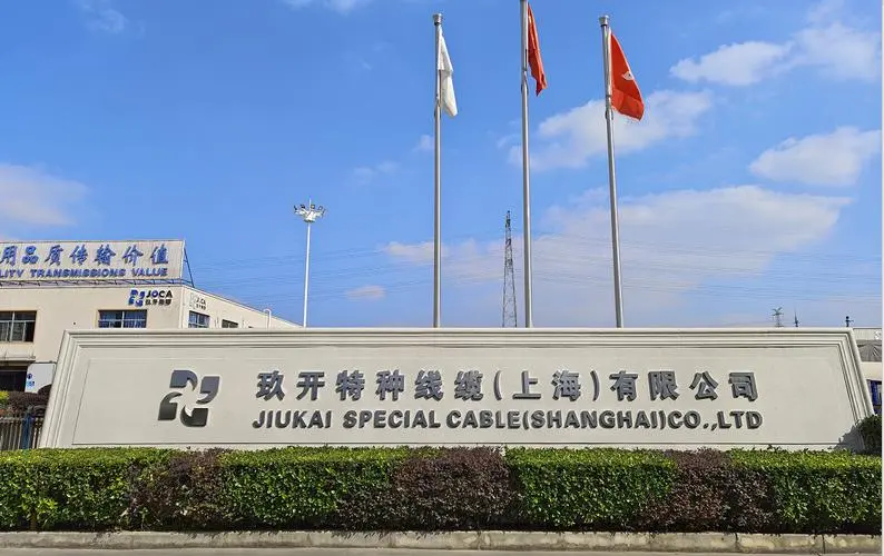 BG大游·(集团)视讯官方网站