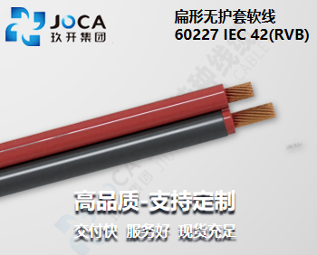 BG大游·(集团)视讯官方网站