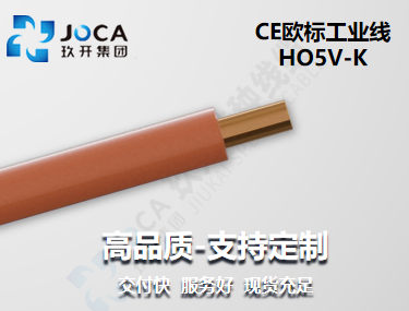 BG大游·(集团)视讯官方网站