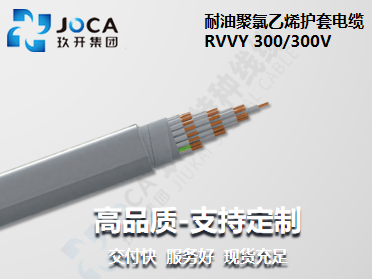 BG大游·(集团)视讯官方网站