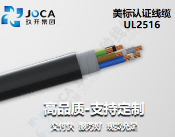 BG大游·(集团)视讯官方网站